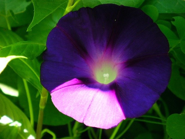 ce56c3002710d16d3407f832c4c72e248854d38c.png
