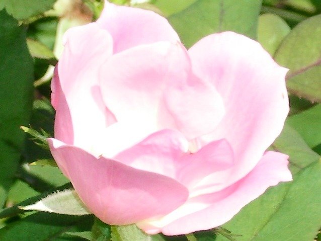 cfffaf87c14c280b30a7ed1176e2adc23d27e0b4.png