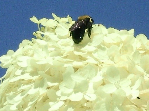 642ec30d2909e5578d3d31b6e5870c726ce72b87.png