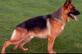 9debcafd3d107a607997363fc62569a753c515aa.png