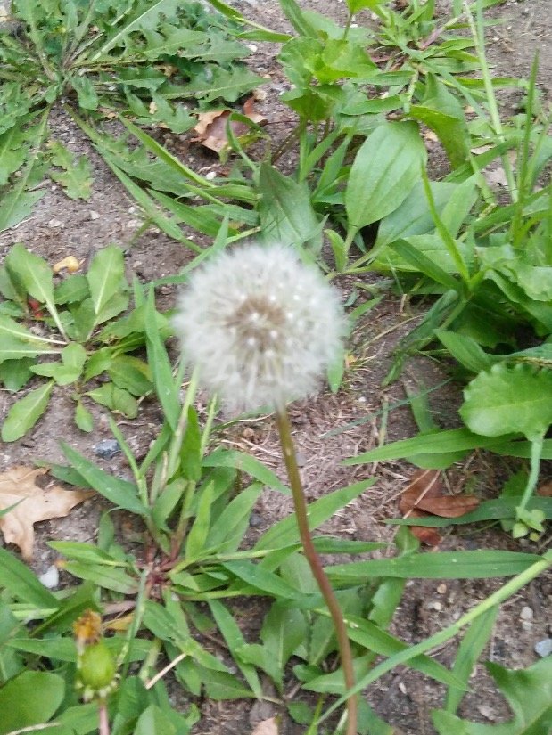2b35c32dc0d0e9b9df7376b74c7720a861f339ab.png