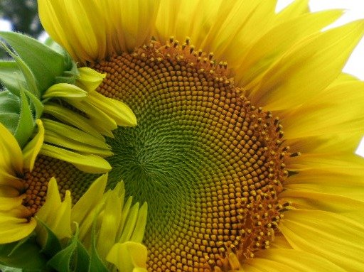 5311889cf05df6b3a790b8b32b998c17ec0ccc11.png