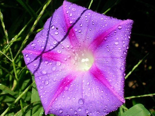 7637daf9e56b4150e36586f45ad238759c1f9b78.png