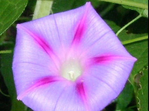 f81e206f8413190a827c5496a6c1aaf8c9c446f4.png