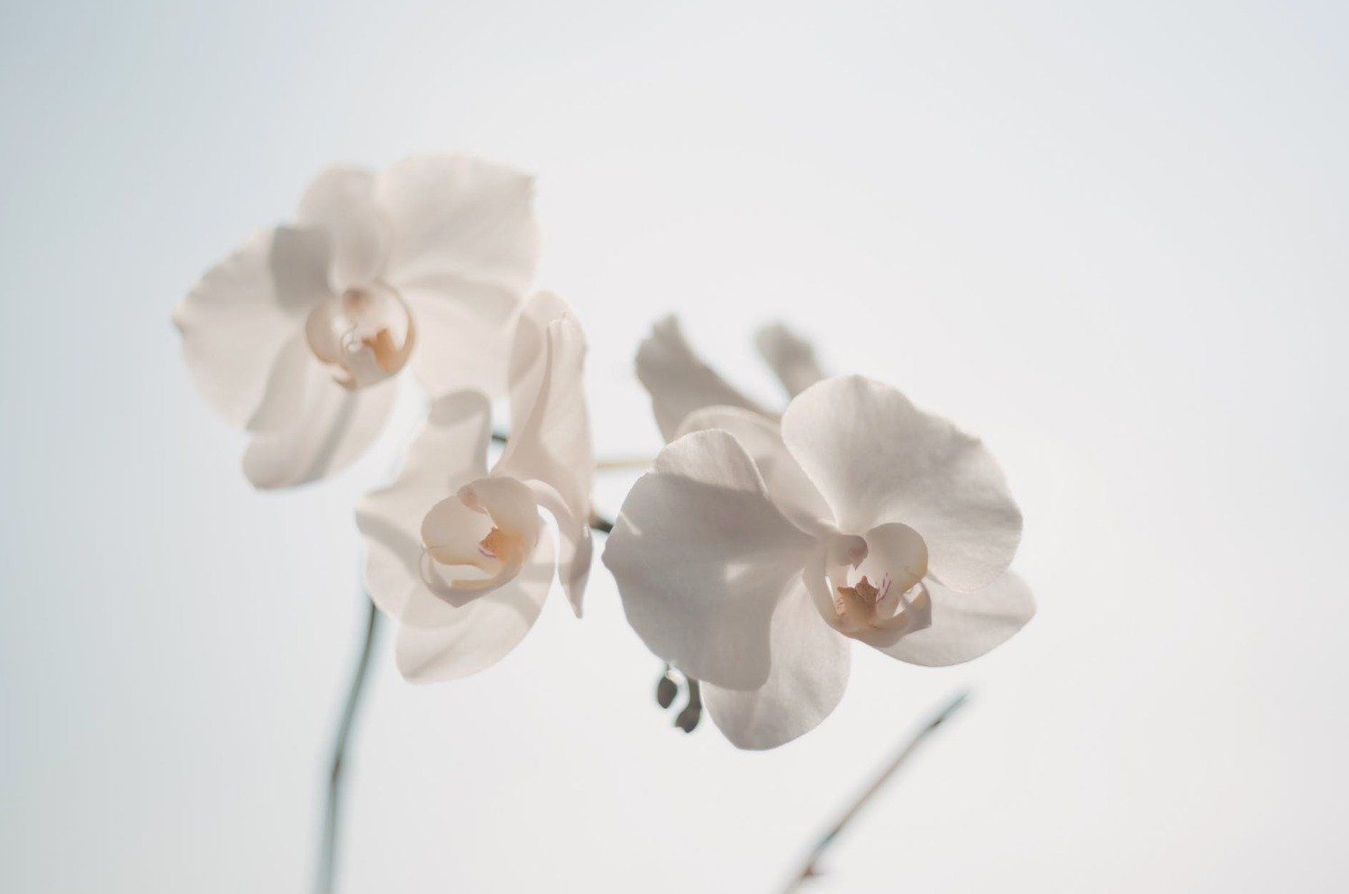 a706cad9323328a2013433242f870be9fa04ce70.png