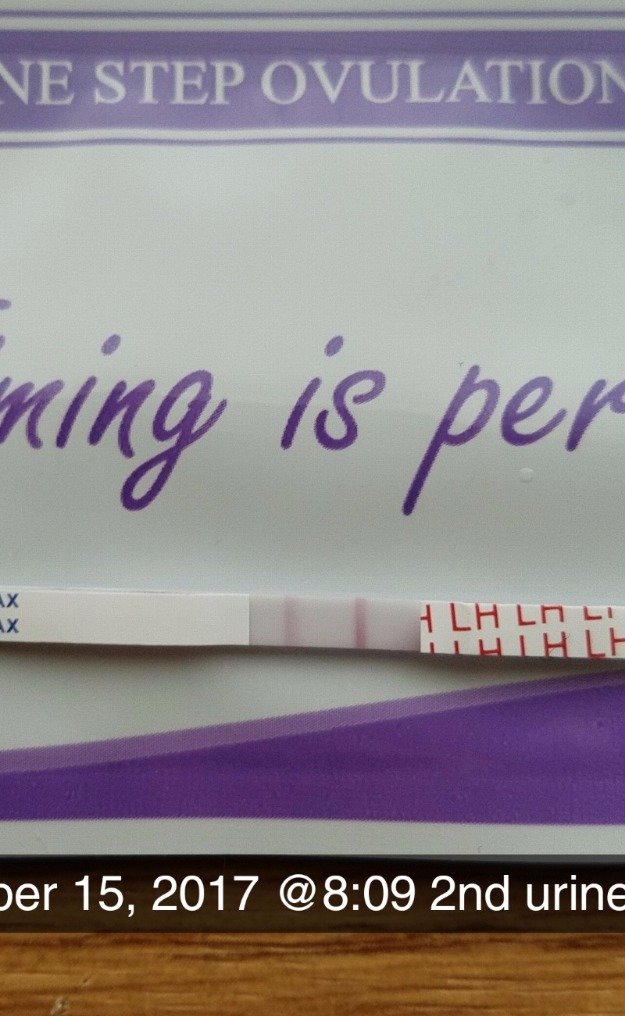 3afb975789f4e8ea8b8cd0190bcd05c81623617f.png