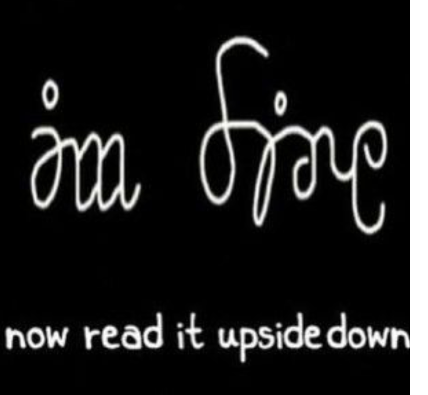 833f565548b6274c8e3d63deffbb15305c4f2a68.png