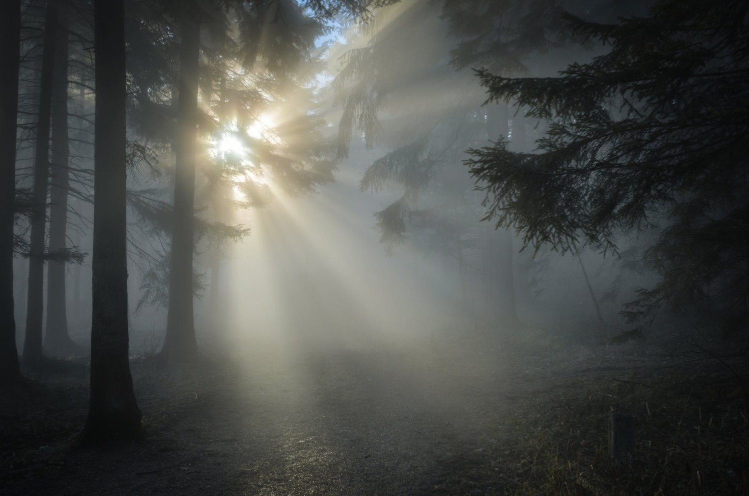 0ab375d282cce69562510ee80eb99f19a017da6a.png