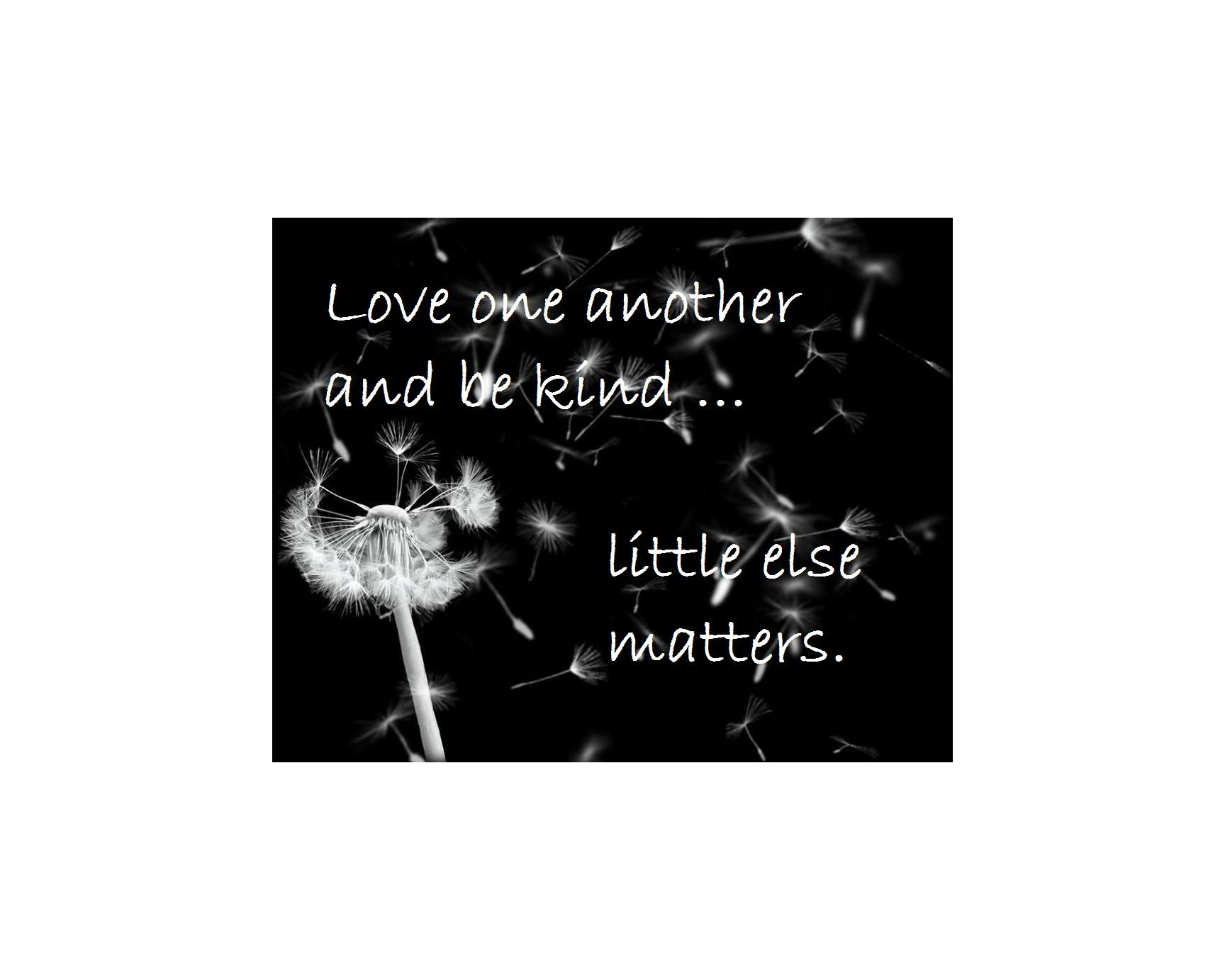 3567a547c75a0a6390538fd387b8f146769b3abf.png