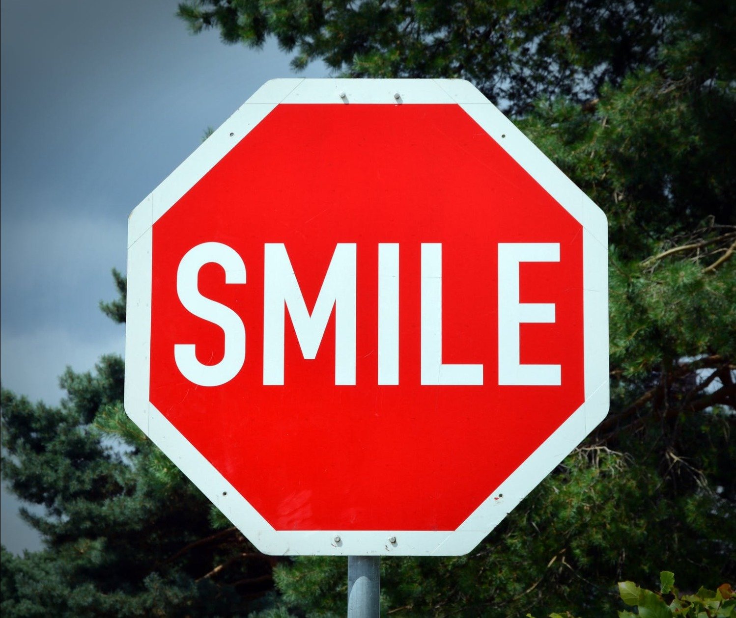 c85dff7fed5e65774534d1e2bc52ad9bb5049f04.png