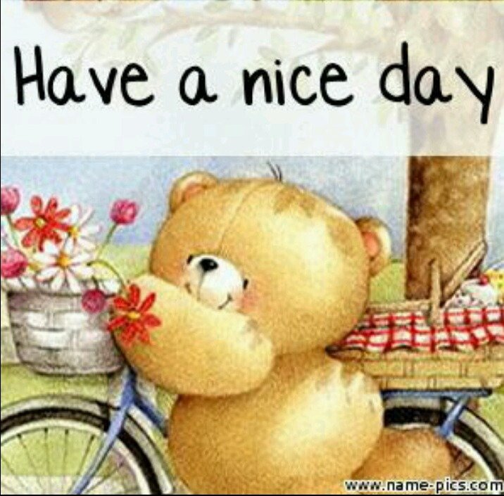 cb8f7b44080c55f9c7e11102b785243107568598.png