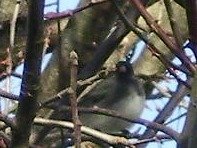 bdf675e4c0eb2698488a6e8772e5b4ec362036c8.png