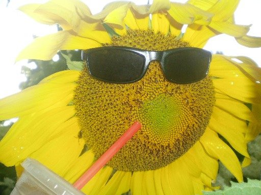 57aeeaee9c8b76275a5452861a10ca02464f857a.png