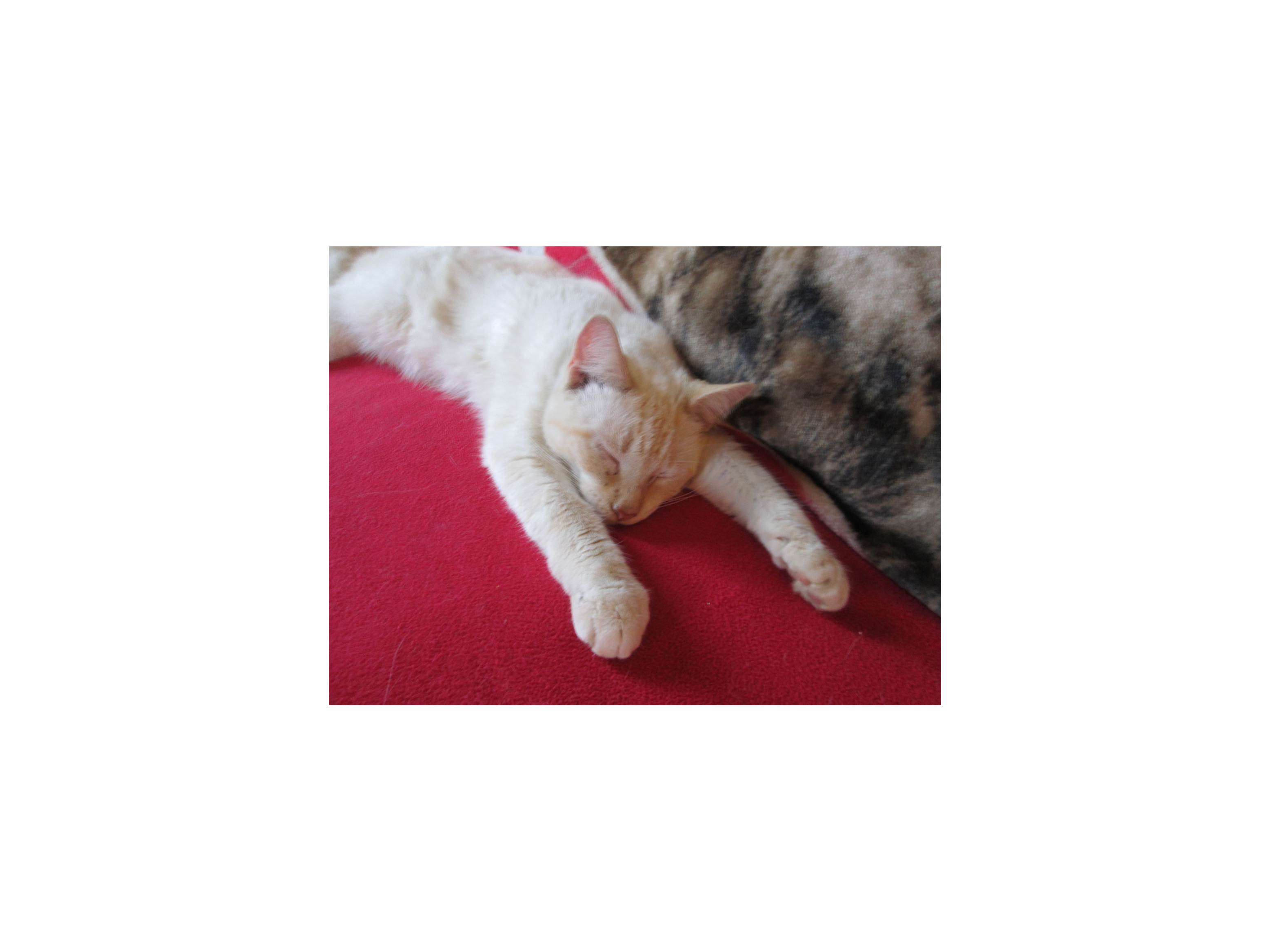 8bae3172f376ed26de31f5e89ef502039ba3c985.png