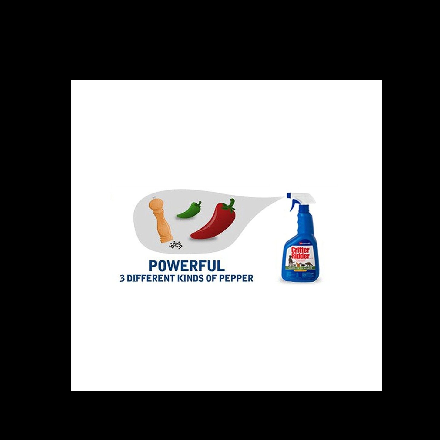 fe88887f3393f6e86946187c506a14a30b9ff2d6.png