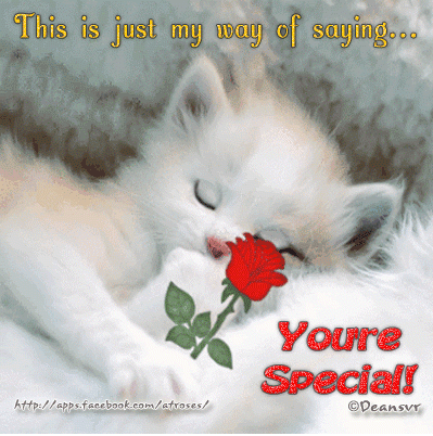 f29fbed8d4e4dcc8eb1d4e80e85099322c40401f.png