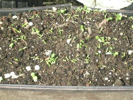 533b40abcc968abf3a6831b30d39cf79d11d2f5b.png