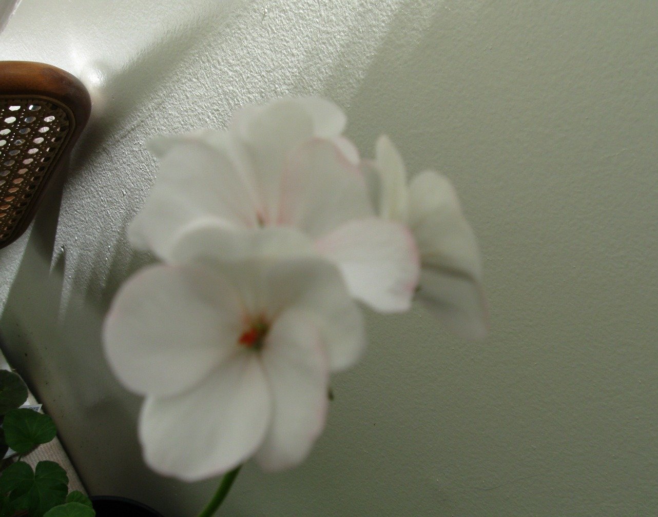 6ea08fb99d4921a6475605791289e2d209571056.png