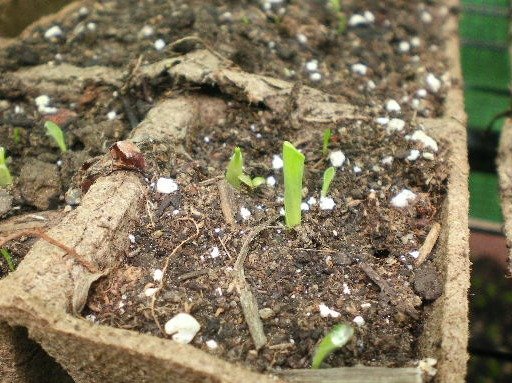 bd53985ec93bb0495f481df513b67c9f9e7e5417.png