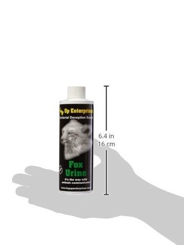 db76b4bba3f694ff6fb6597f55f6dae934a1351f.png