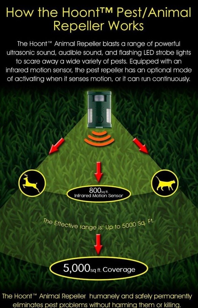 1bfca6830ec82a2e658e6520dea71eaecd767980.png