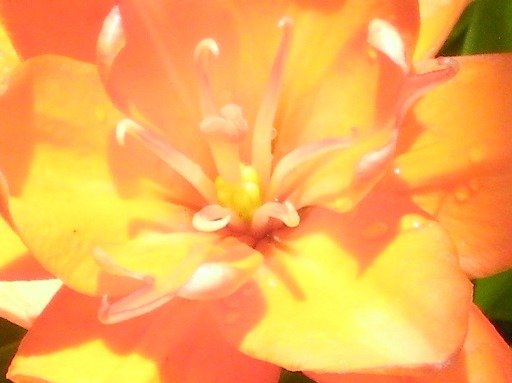 2bde650ea56c3104aadb11b475843ab354c61276.png