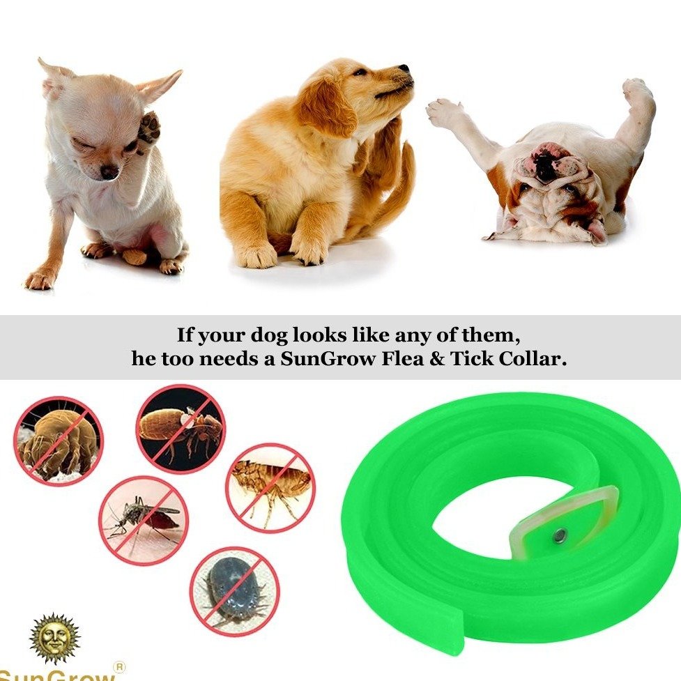 ab31f16698dfc001918961c8cc1ab61eea38698d.png