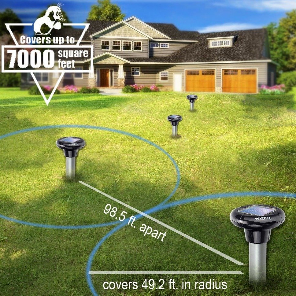 d77d053739c2e53d3ac2bd591e87d8ca4e4b7cf6.png