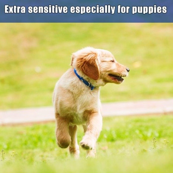 f5804b82ec9604ecd5a6b6a0fc6b4461aa8f937a.png