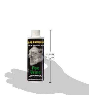 0a934dbedd0a95a751a3ed7cacd3dc51dc140b4e.png