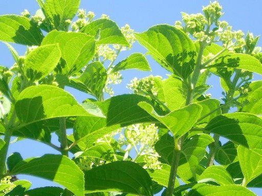 1892749ffb64f460e5dce393b921b71739c1d7bc.png