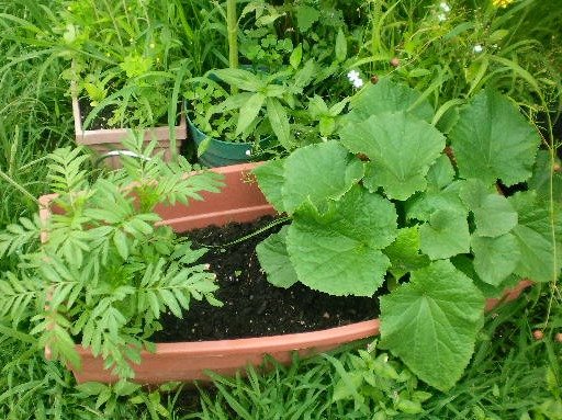 94cf319c385201b176a92606eccfb2422f949ee6.png
