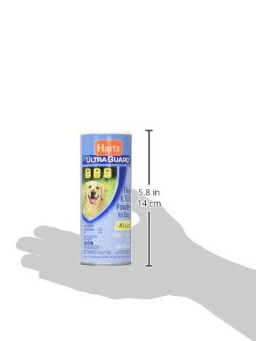 b1637d83fda38a7ebea256ada55c0350b85e50e3.png