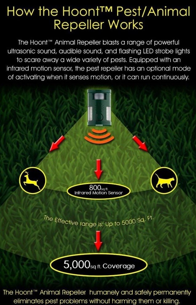 e531eaca469d36bf9a9f8a19fa5952795166d811.png