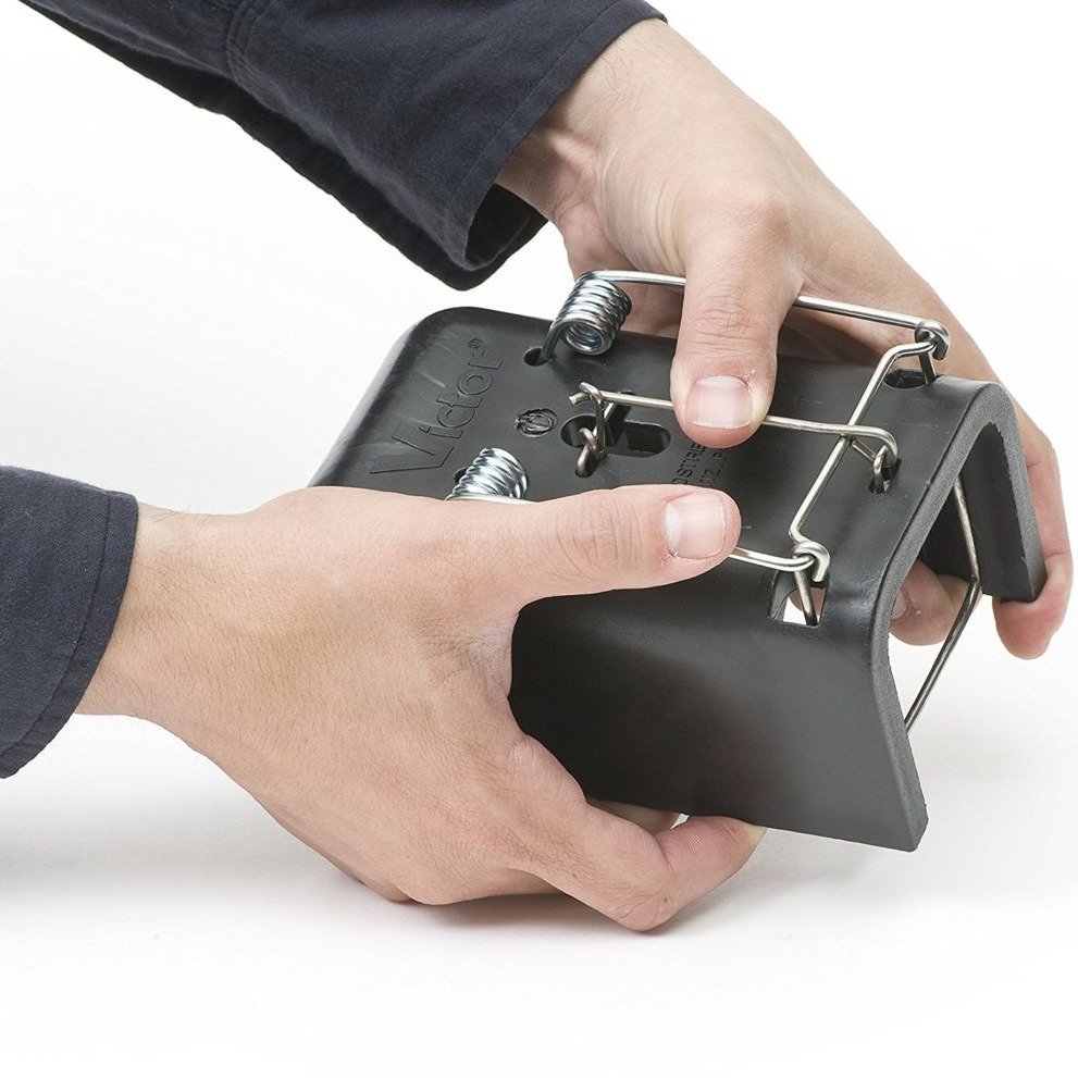 f931e8c8980ab90c617859edbf457997ffc56a50.png
