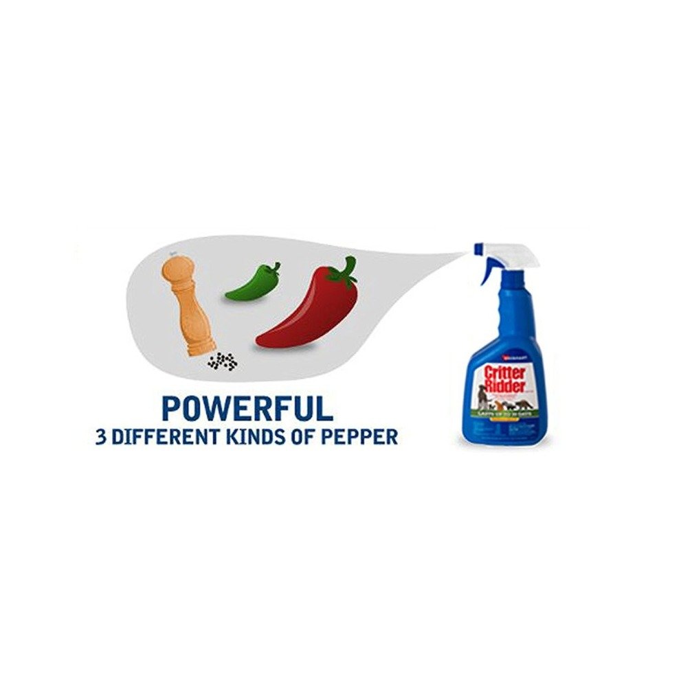 17af74566e0453a459f458ad8e597c8153dbfe8e.png