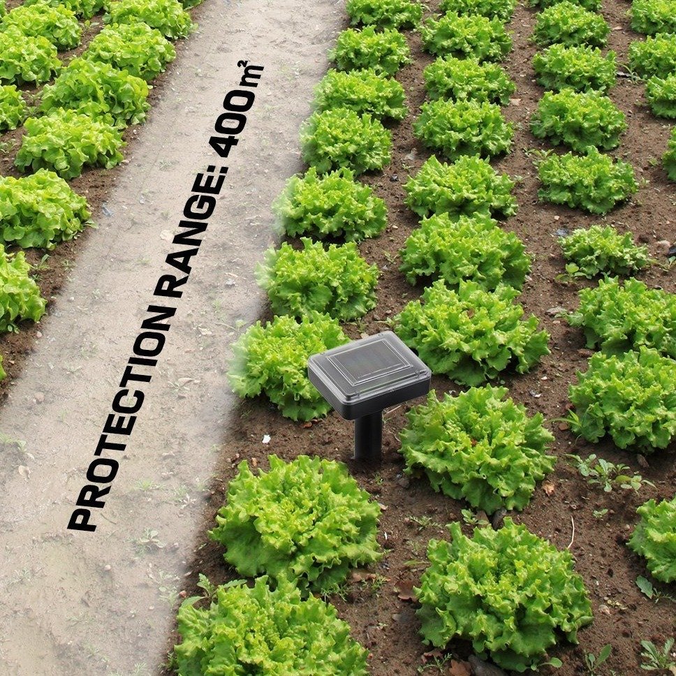 232e6ae56ef64b84e58d256cc42d3c2bfde66e83.png