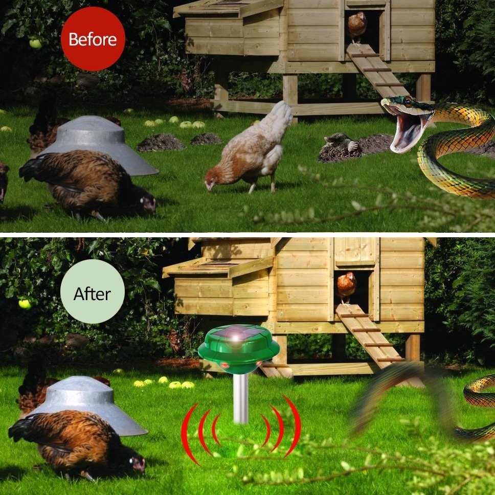 3d88aa1b4aaefffc4e768fcb6e231a5b3c5b5607.png