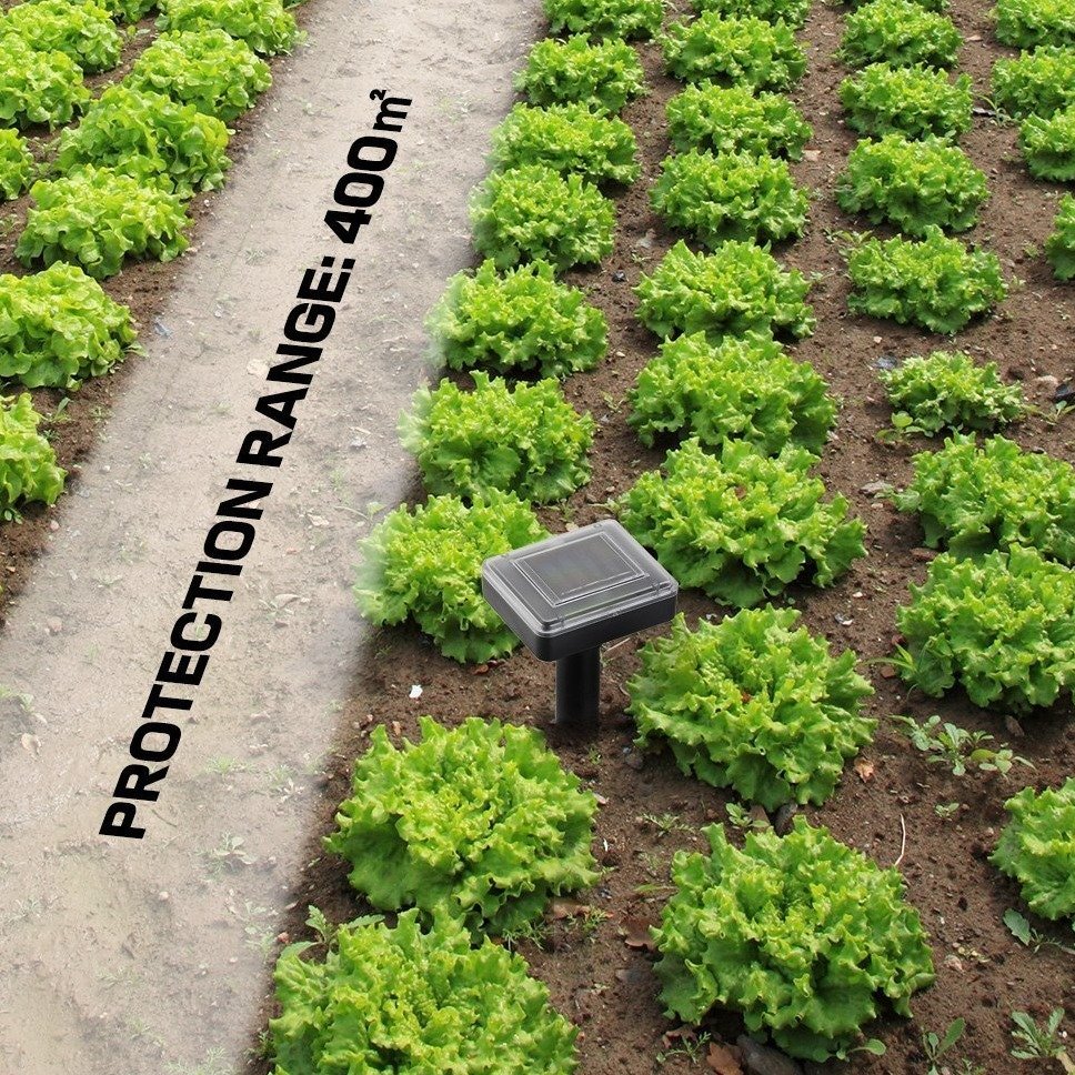 51a5319463d0dfc93172d890e29e8b427aa6280f.png