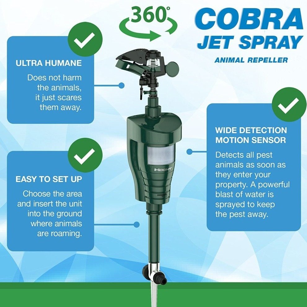 6cb846d047aeaaaba1db3ff53c73ea53382bf67e.png