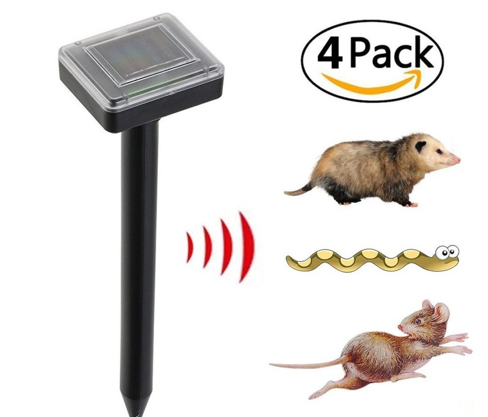 b9b6bbb5174043e7971006cf883defe83eacb53a.png