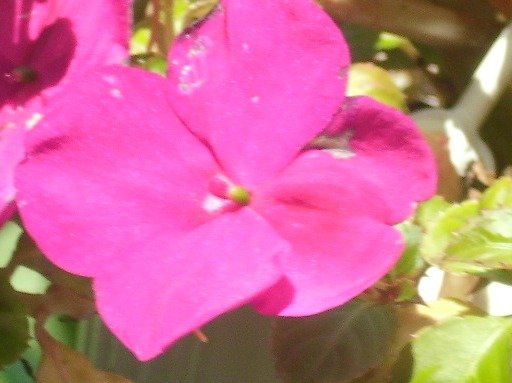 d3d461764314a505e47dd5c0e0128142a0769f15.png