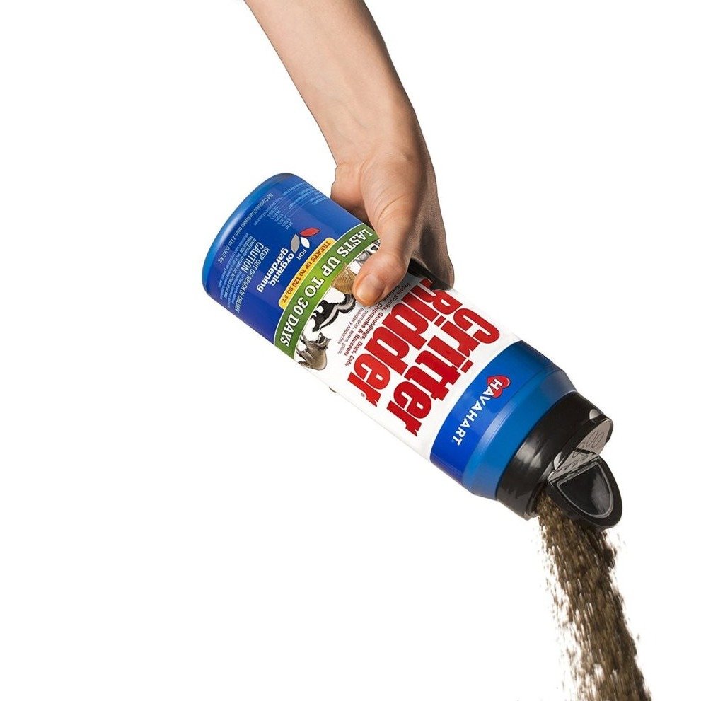 ff648b26505fc55ede36f4d0ce342a0a874041bd.png