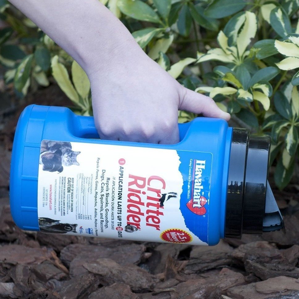 ffdeeaedfcac49d8ceefbab302f3ad21ea46508d.png