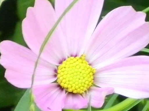 1eb0f6f0e03a611ee12e3b676f951a9dc3e0d013.png