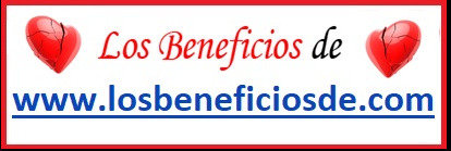 2585fda1a2a05db583700cd5726172fd43ecca74.png