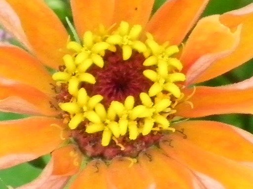 d11fd3a2798056a6a91c81db7650215d74e76055.png