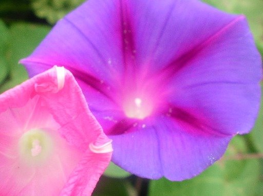 dc209103b61206706a9d8382a1aa536772db03c2.png