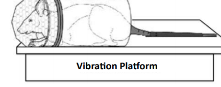 6cac3977beeb76b01fda4e46c77a702a1c19d41e.png
