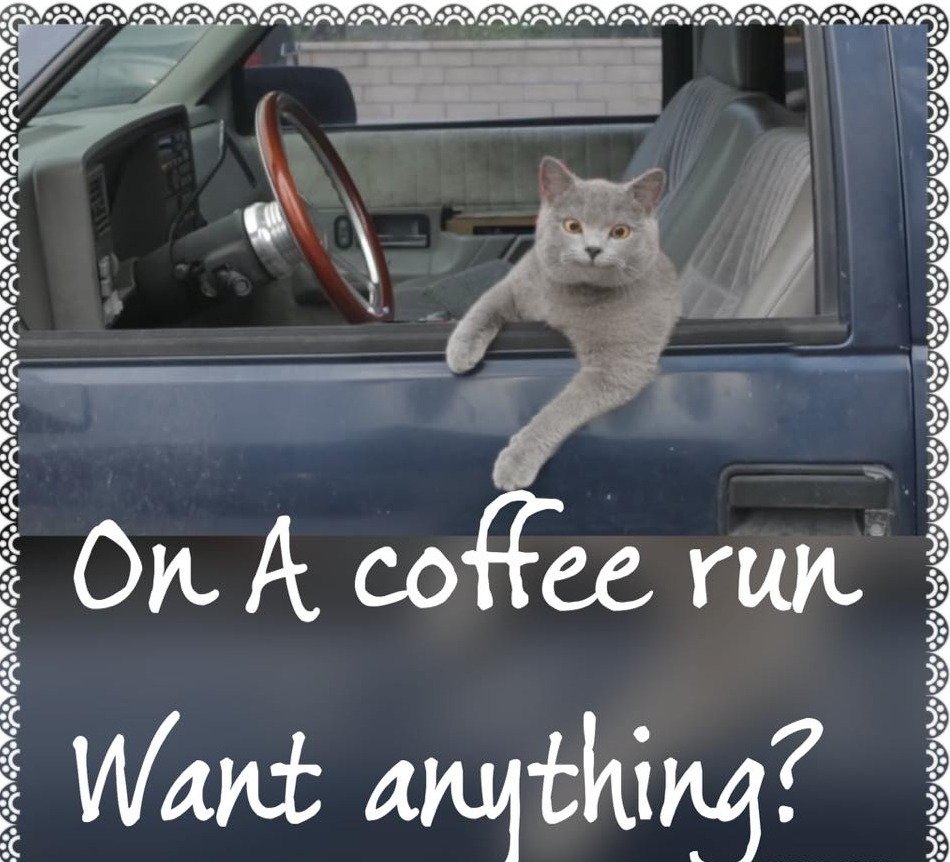a65d4b8cfe95a32da79889505961163f6f78e70d.png